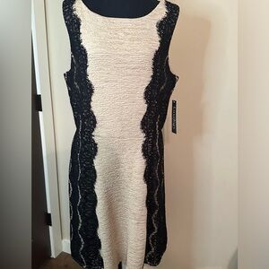 Cream and Black NWT dress